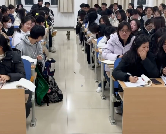 了解与关心学生将管理育人服务育人落到实处服务于学生的全面成长 了解与关心学生将管理育人服务育人落到实处服务于学生的全面成长